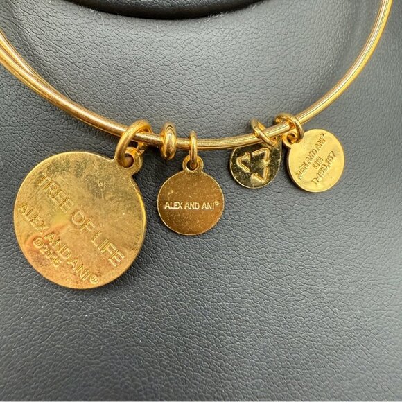 Alex and Ani Tree of Life 2015 Charm Bangle Bracelet - Picture 8 of 9